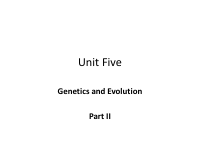 Chapter 5 - II.pdf